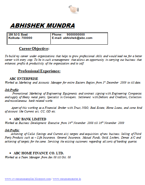 Resume of accounts manager